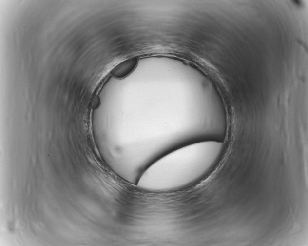 X0000100211170200805300719