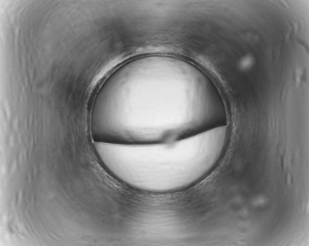 X0000100211173200805300719