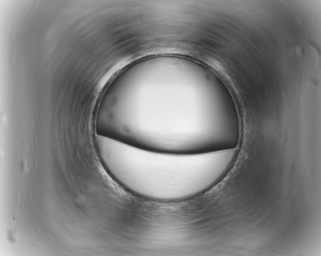 X0000100211181200805300719