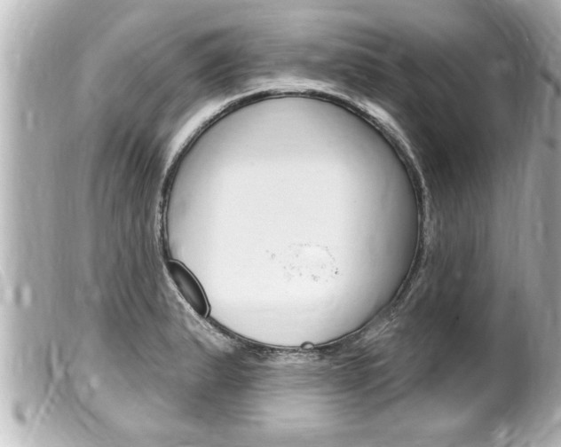 X0000100211183200805300719