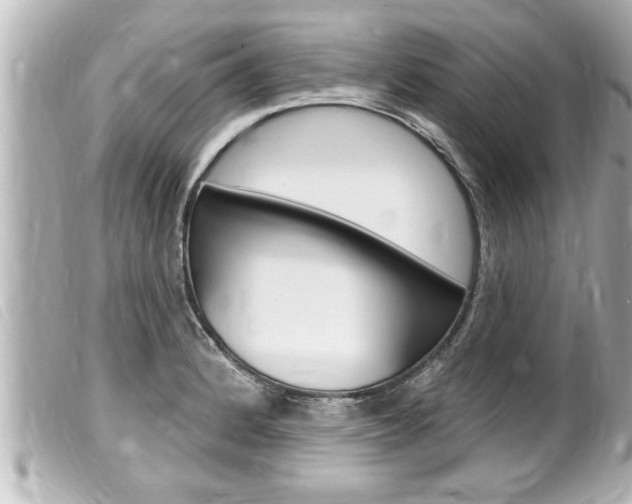 X0000100211184200805300719