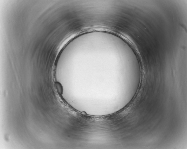 X0000100211190200805300719