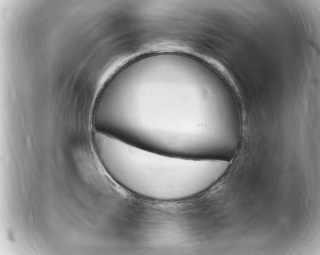 X0000100211191200805300719