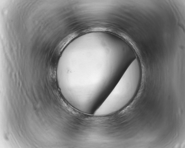 X0000100211193200805300719