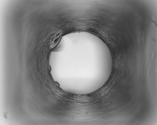 X0000100211201200805300718