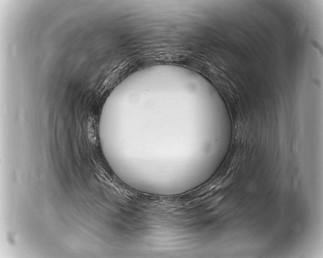 X0000100211202200805300718