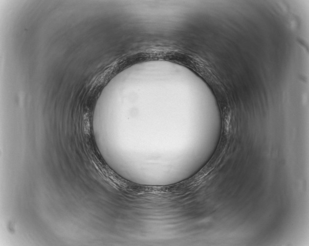 X0000100211204200805300718