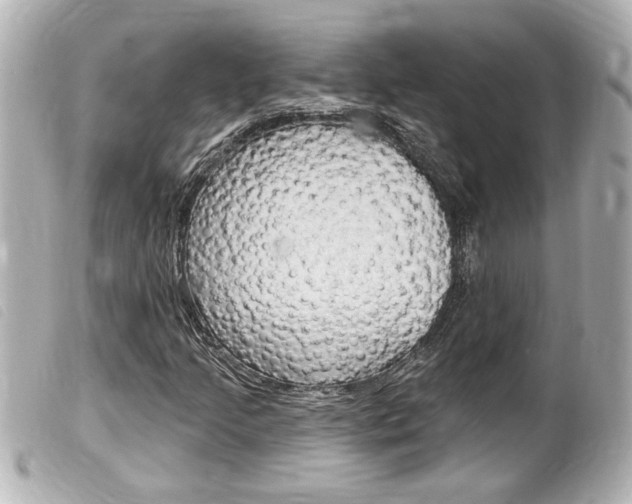 X0000100211205200805300718