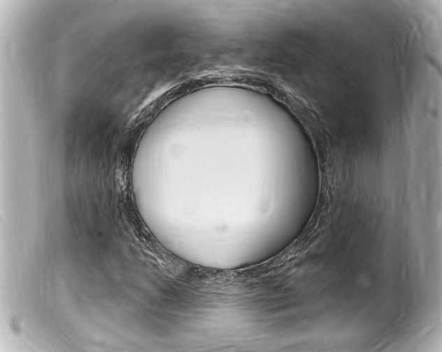 X0000100211206200805300718