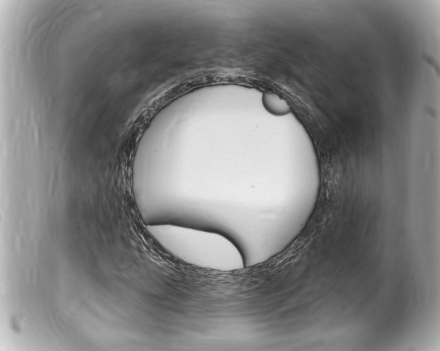 X0000100211207200805300718