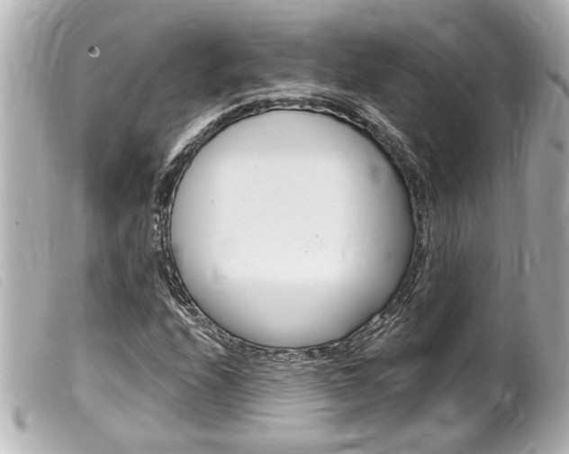 X0000100211208200805300718