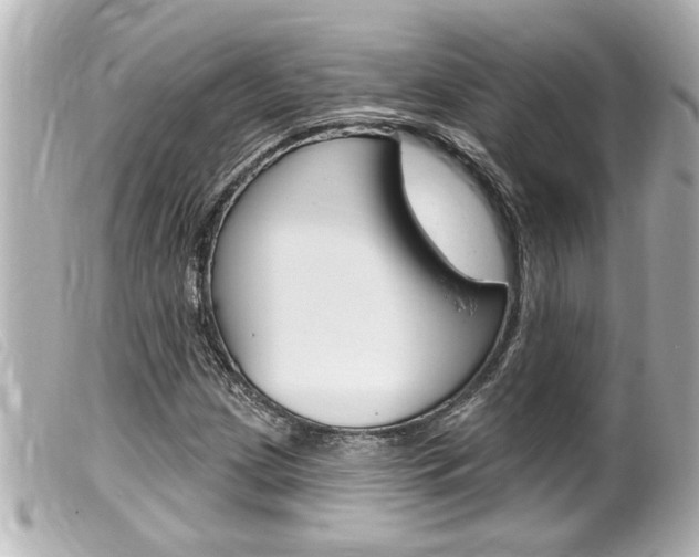 X0000100211209200805300718