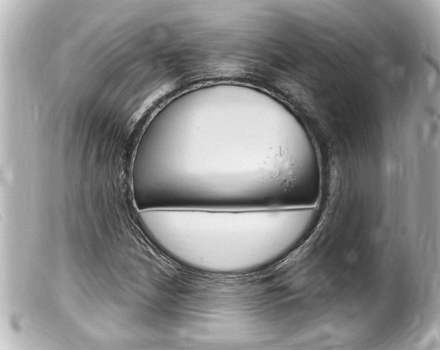 X0000100211210200805300718
