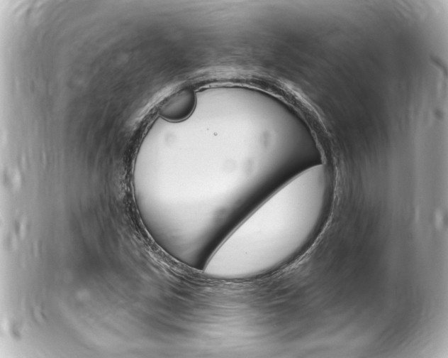 X0000100211213200805300718