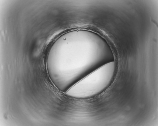 X0000100211214200805300718