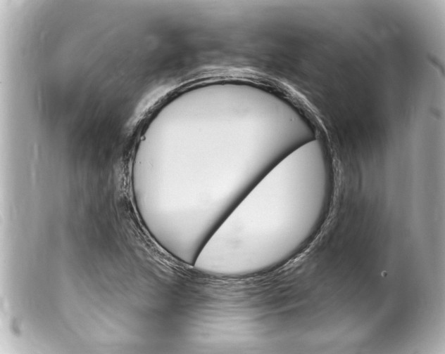 X0000100211215200805300718