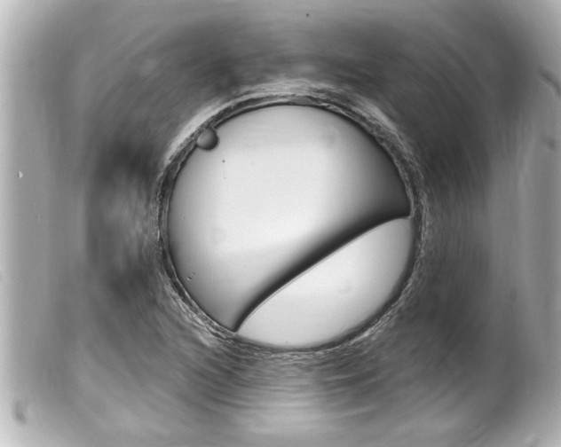 X0000100211216200805300718