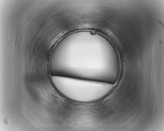X0000100211217200805300718