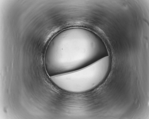 X0000100211218200805300718