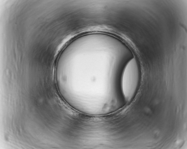 X0000100211224200805300718