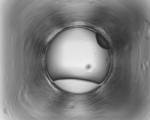 X0000100211225200805300718