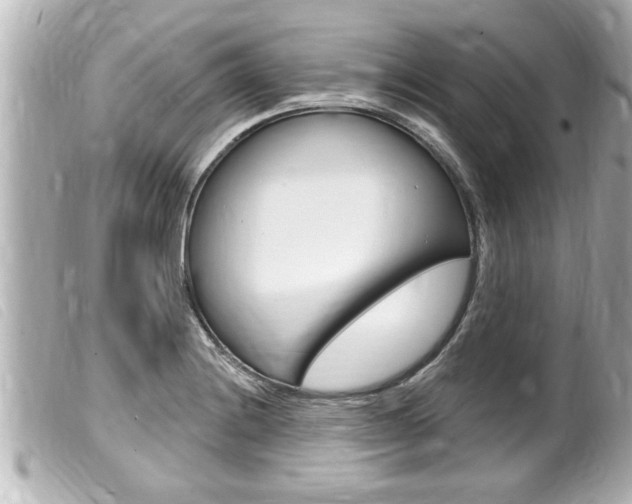 X0000100211228200805300718