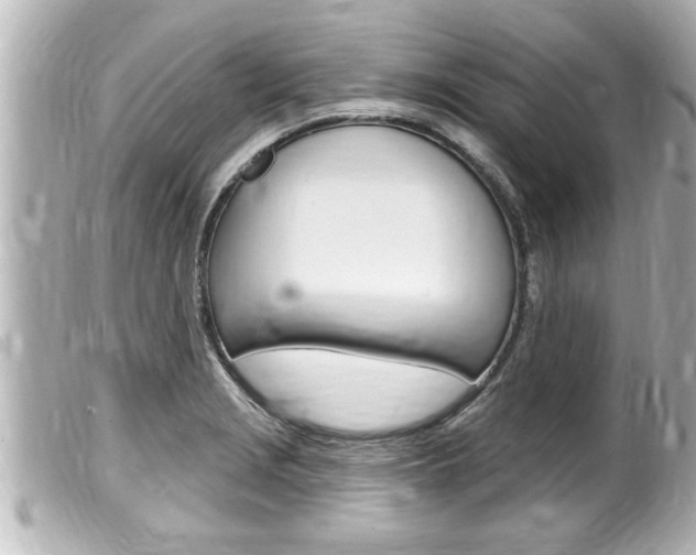 X0000100211229200805300718