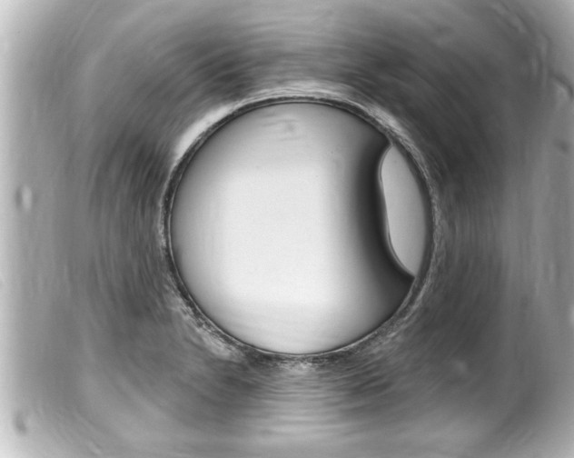 X0000100211230200805300719