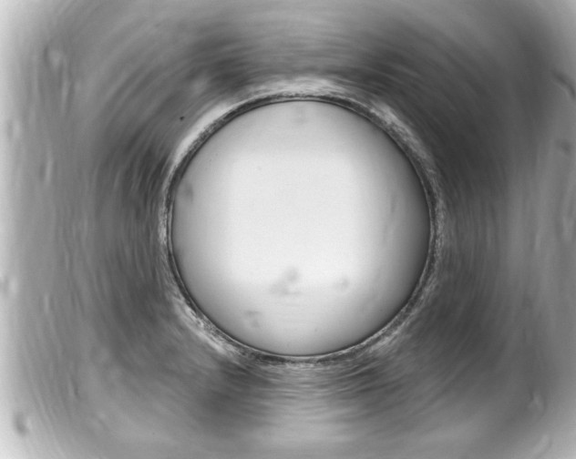 X0000100211232200805300719