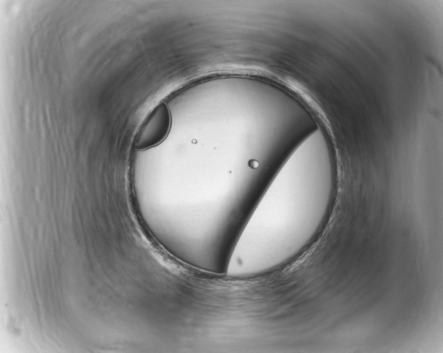 X0000100211237200805300719