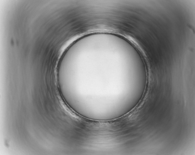X0000100211238200805300719