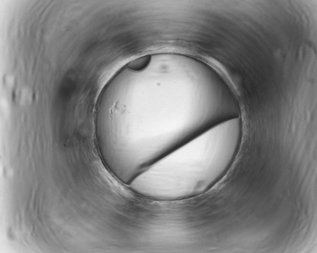 X0000100211244200805300719
