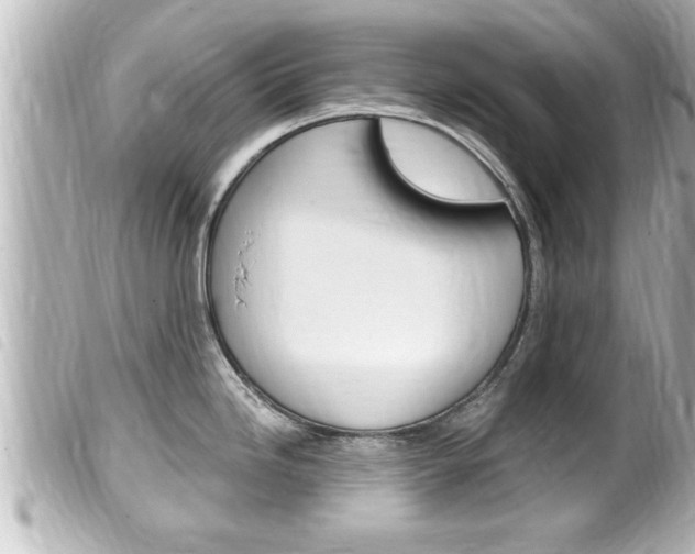 X0000100211246200805300719