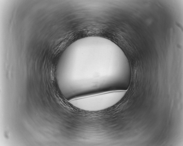 X0000100211250200805300718