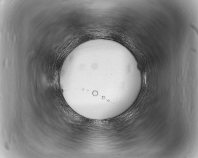 X0000100211251200805300718