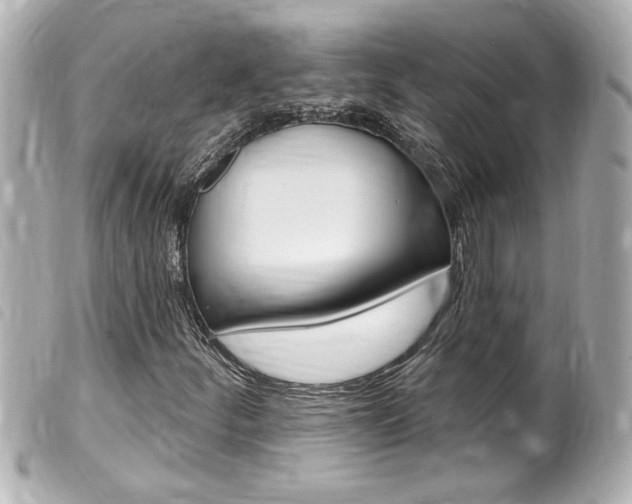 X0000100211252200805300718