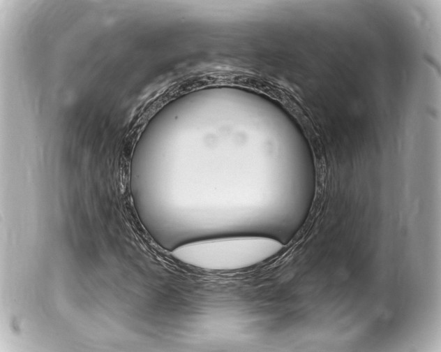 X0000100211253200805300718