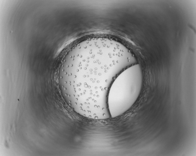 X0000100211255200805300718