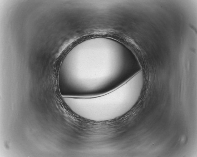 X0000100211256200805300718