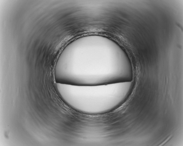 X0000100211257200805300718
