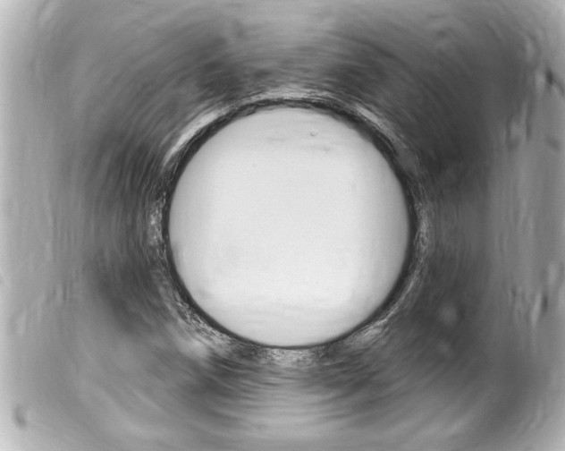 X0000100211258200805300718