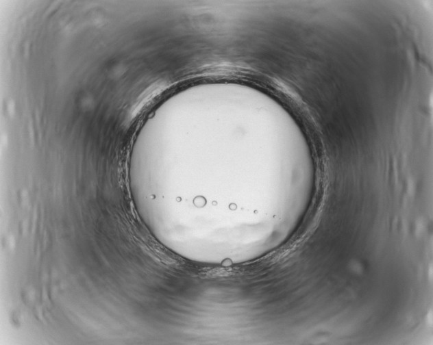 X0000100211259200805300718
