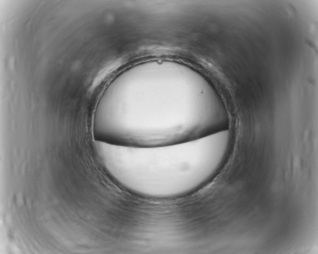 X0000100211261200805300718