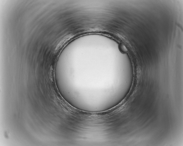 X0000100211265200805300718