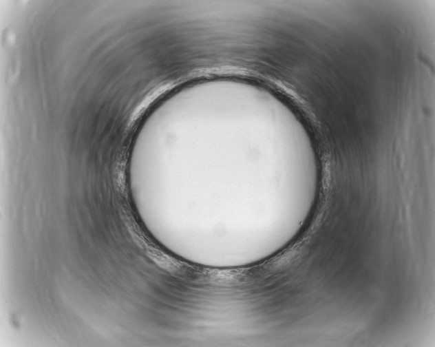 X0000100211266200805300718