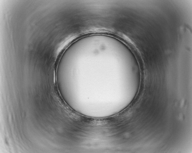 X0000100211269200805300718