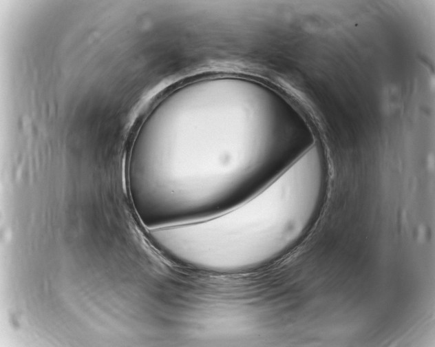 X0000100211272200805300718