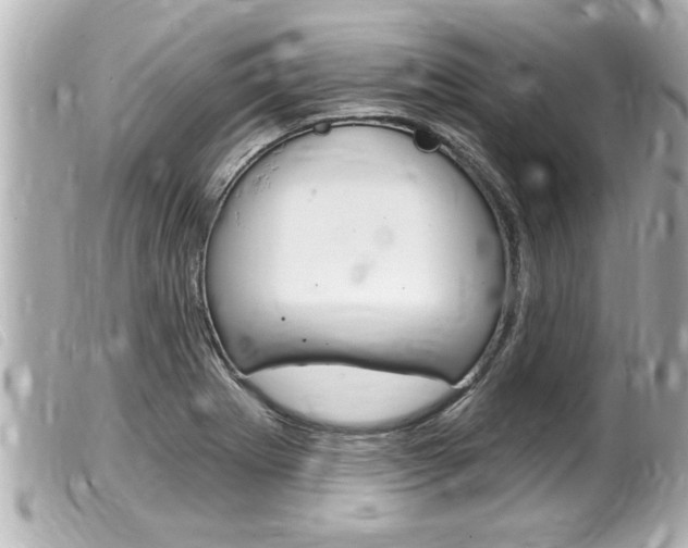 X0000100211273200805300718