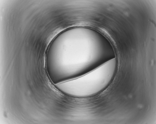X0000100211276200805300718