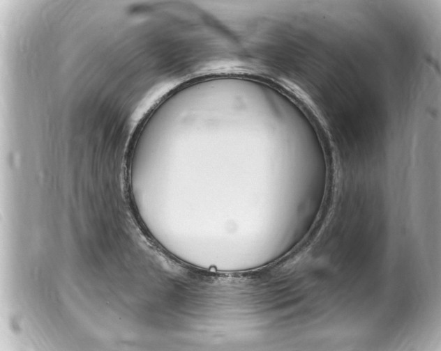 X0000100211277200805300718